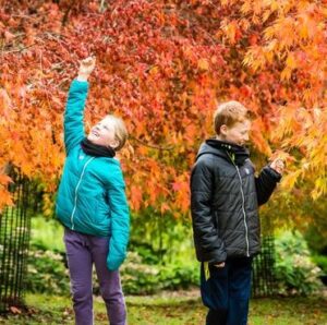 Free National Trust Pass (Worth £50)
