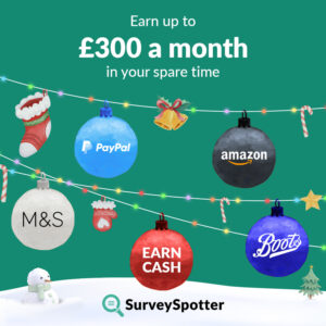 Earn Up To £300 Per Month!