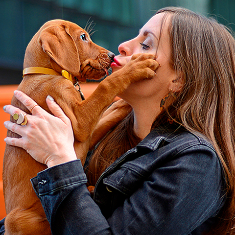 Free Pet Insurance – First Month Free