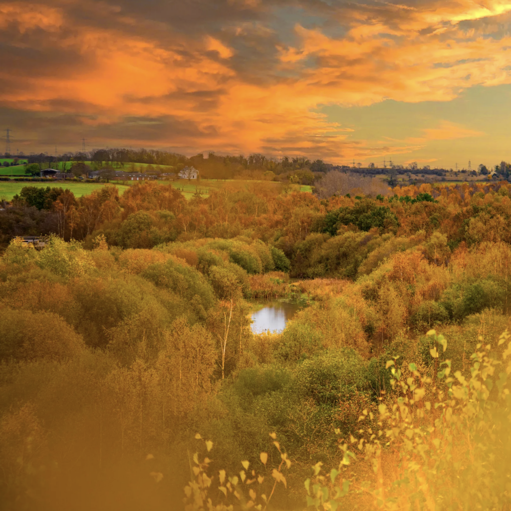 Free RSPB Days Out
