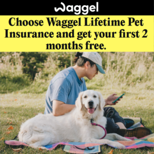 Free Pet Insurance (2 Months)