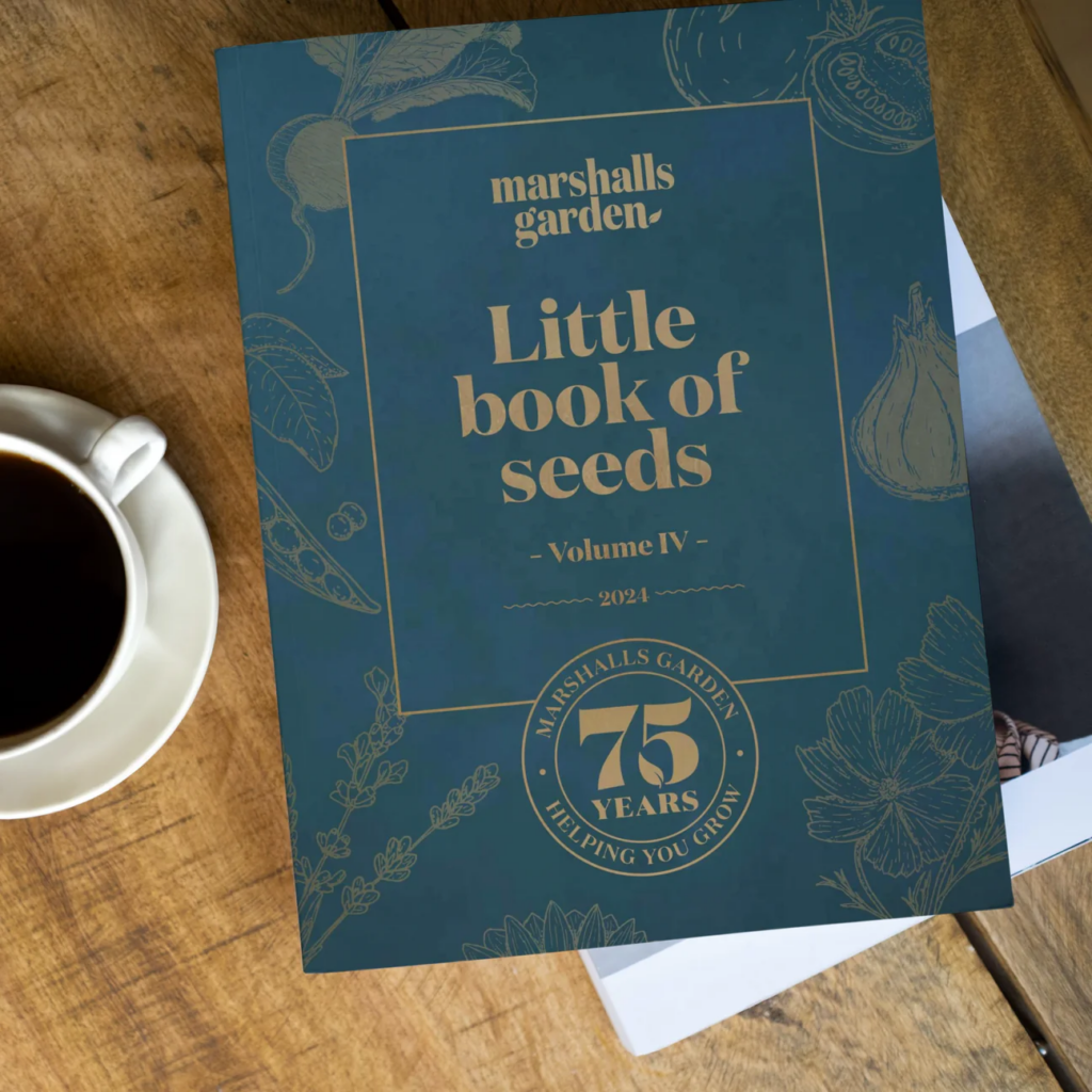 Free Little Book of Seeds  – Just finished, join WhatsApp!