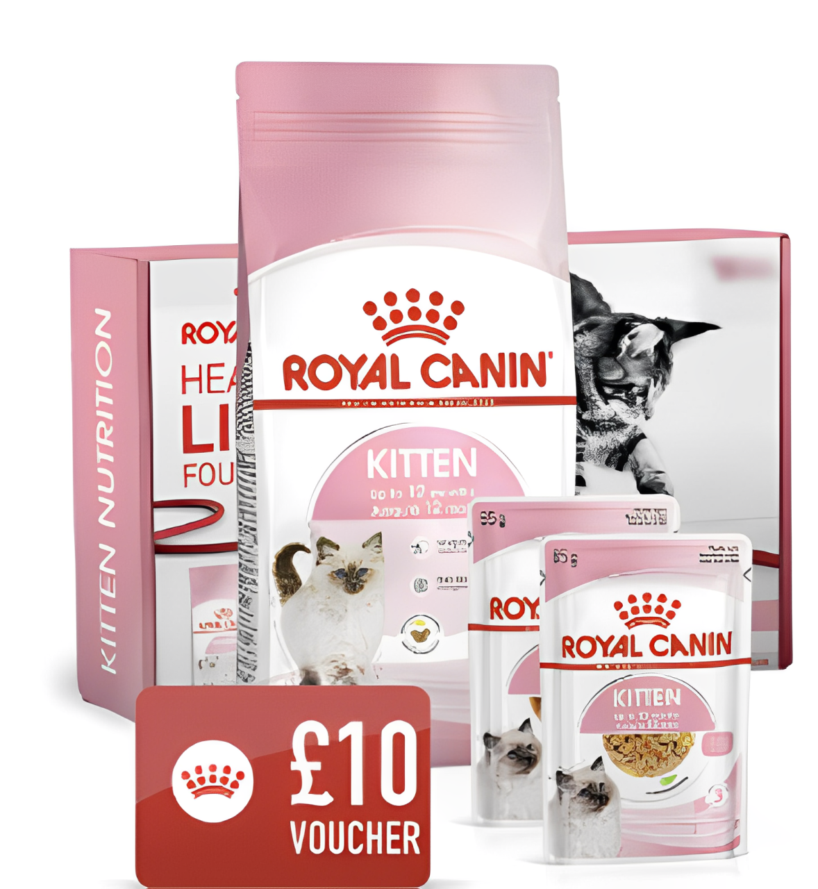 Free Royal Canin Cat Food | LatestFreeStuff.co.uk