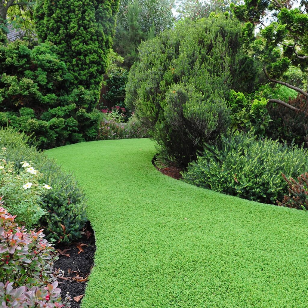 Free Luxury Artificial Grass Sample