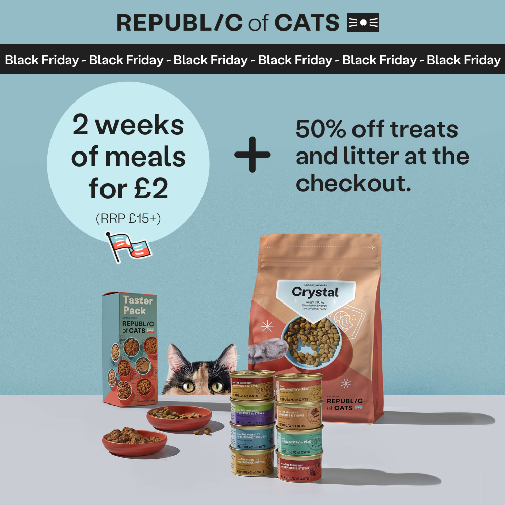 Incredible Cat Food Offer – 28 Meals For £2!