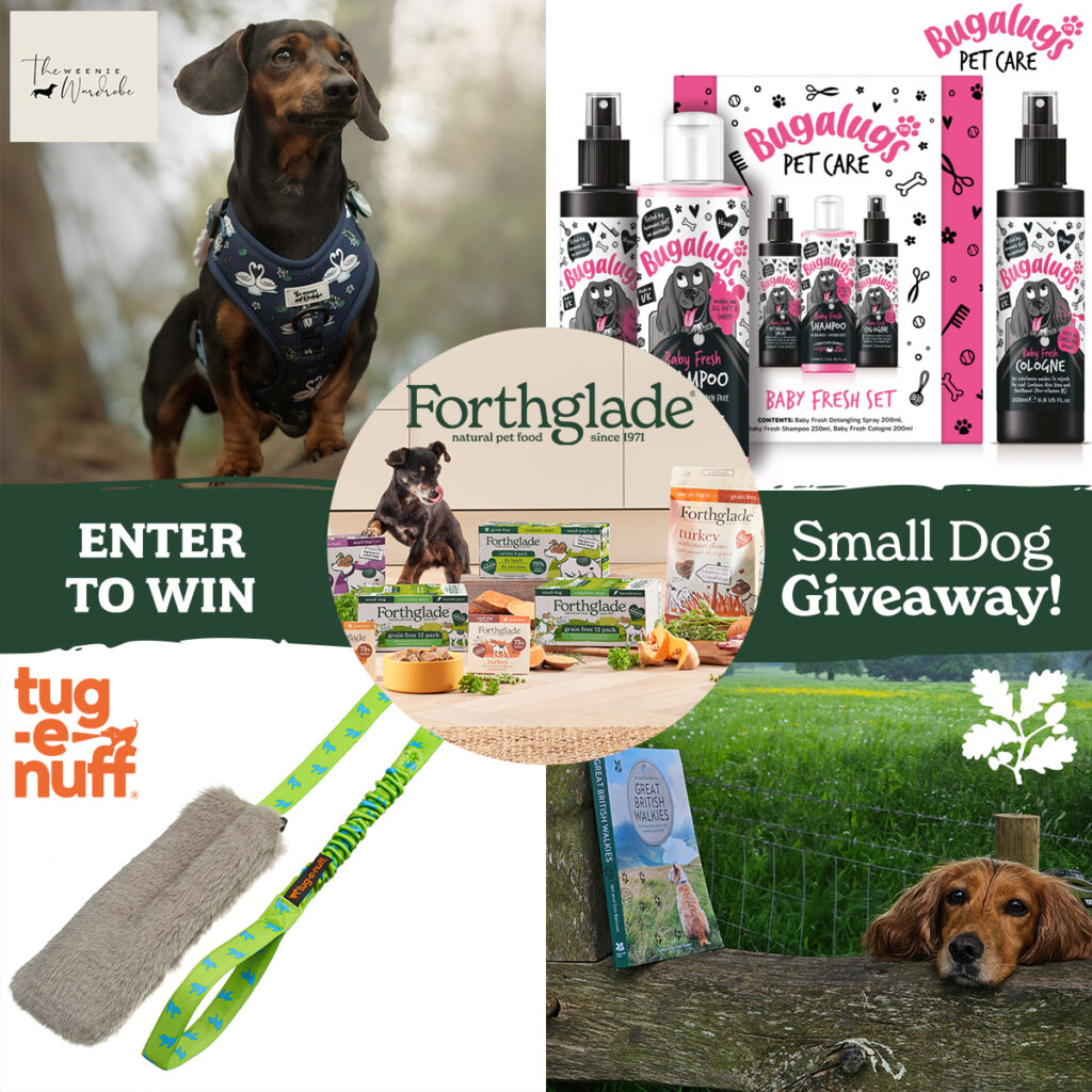 Win a Small Dog Goodies Hamper (Worth Up To £200)