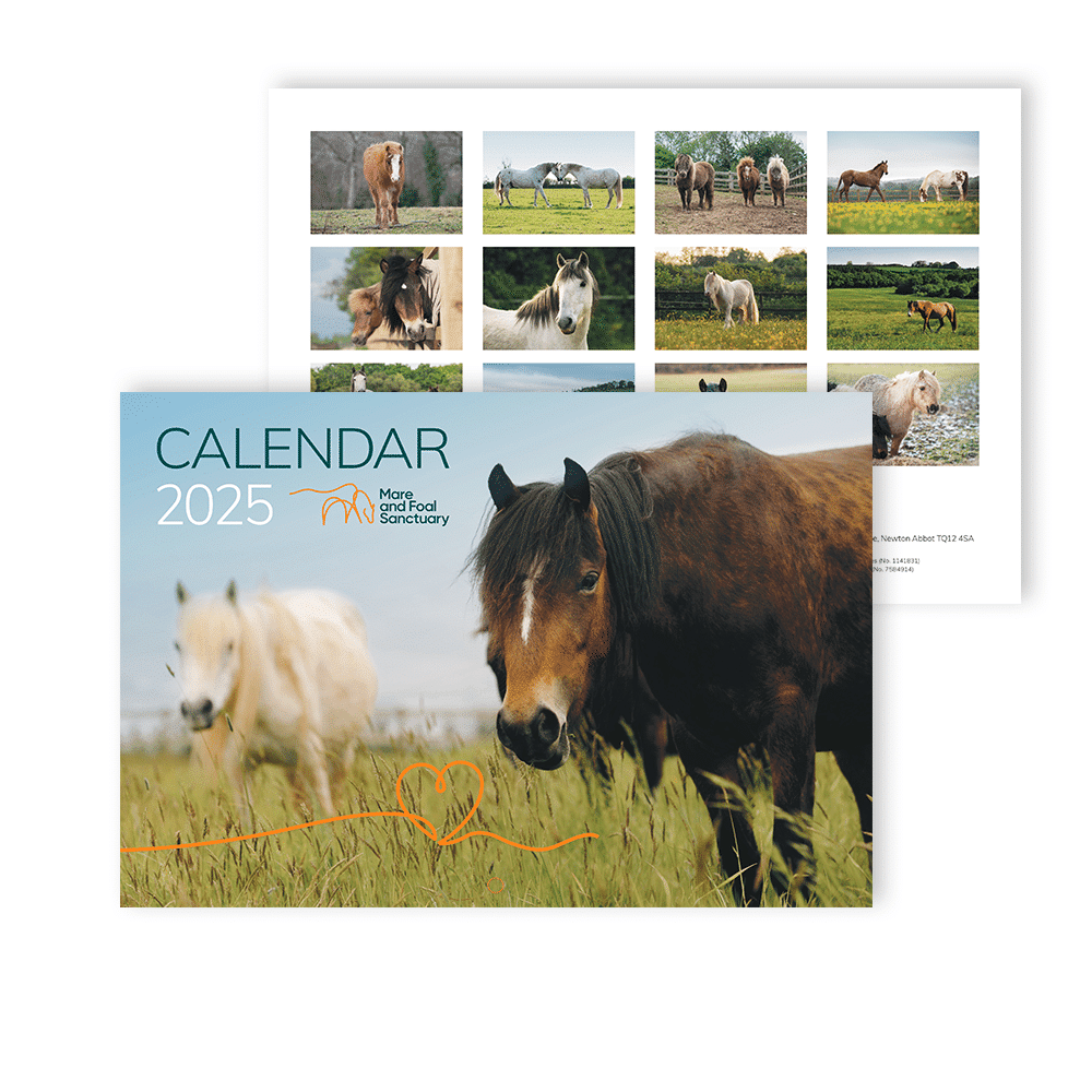 Free 2025 Wall Calendar