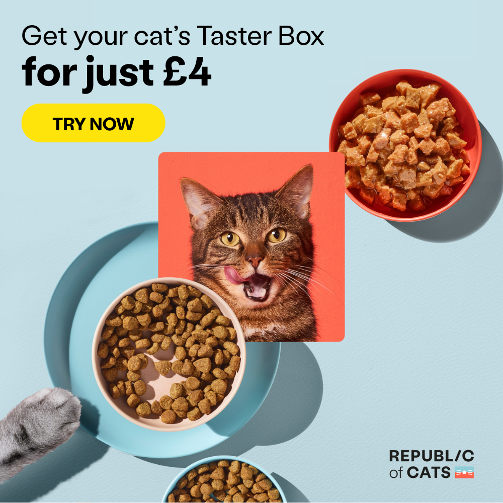 Deluxe Cat Food Box – Only £4 (Free Delivery)