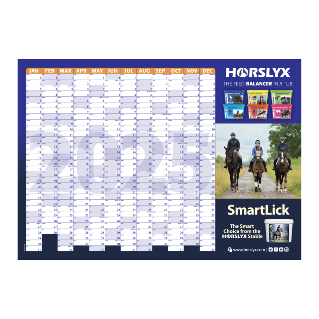 Free 2025 Wall Planner