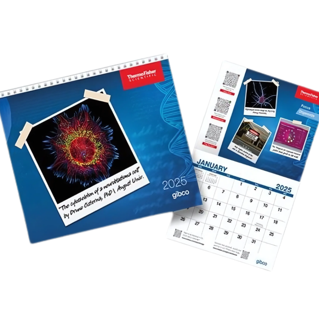 Free 2025 Wall Calendar