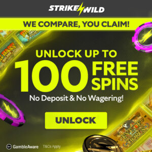 100 Free Spins NO Deposit & NO Wagering