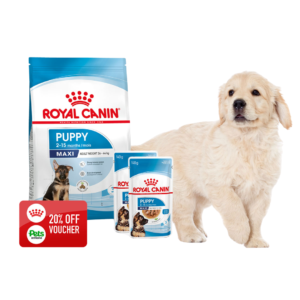 Free Royal Canin Puppy Food