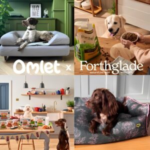 Win a Forthglade Dog Food Bundle + Dog Bed (Worth £500)