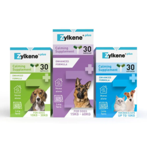 Free Dog Calming Supplement, Blanket & More