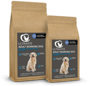 Free Dog Food Boxes – Just finished, join WhatsApp!