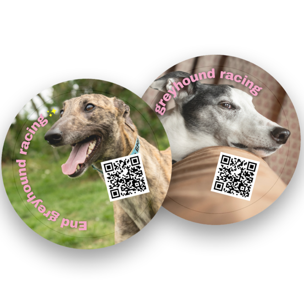 Free Animal Stickers & Postcards