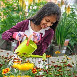 Free Dobbies Summer Gardening Workshop