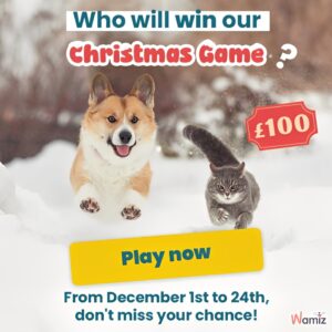 Free Christmas Game – Win Amazon Vouchers (Worth up to £100)