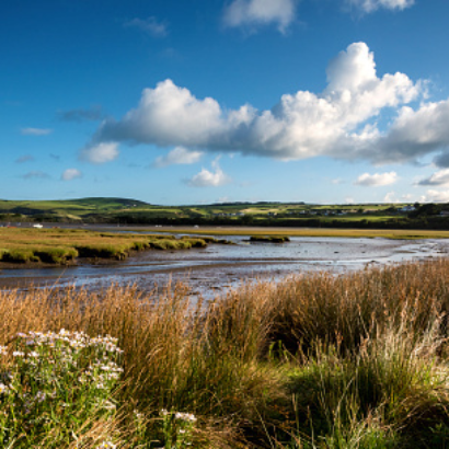 Free World Wetlands Day Tickets
