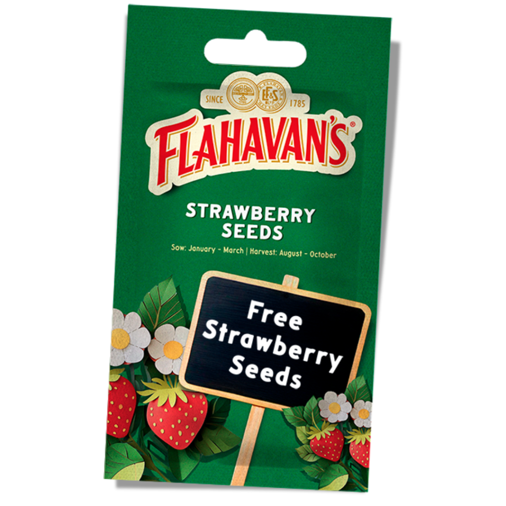 Free Flahavan’s Strawberry Seeds  – Just finished, join WhatsApp!