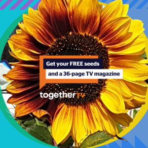 Free Sunflower Seeds