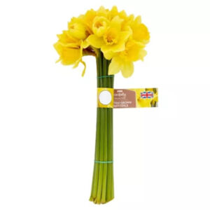 Free Daffodil Flowers From Asda