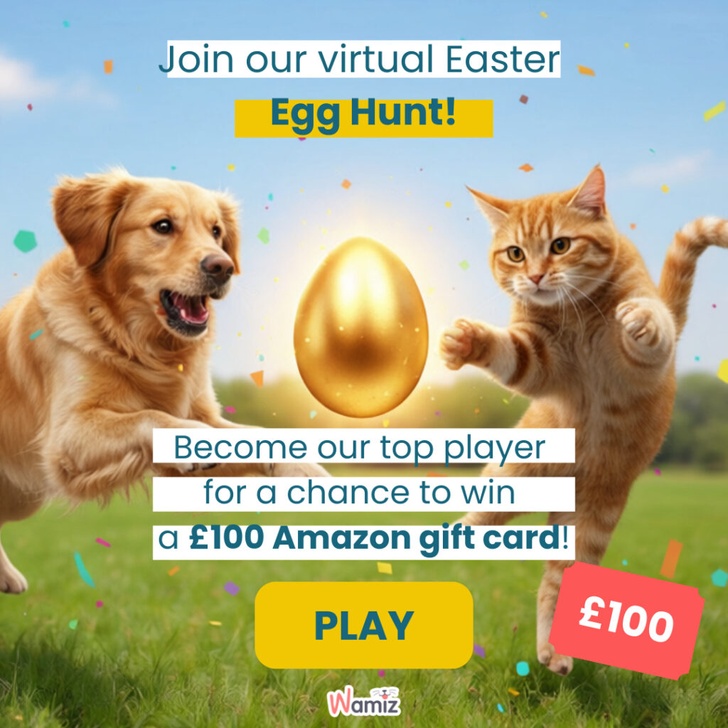 Win a £100 Amazon Voucher in the Easter Egg Hunt