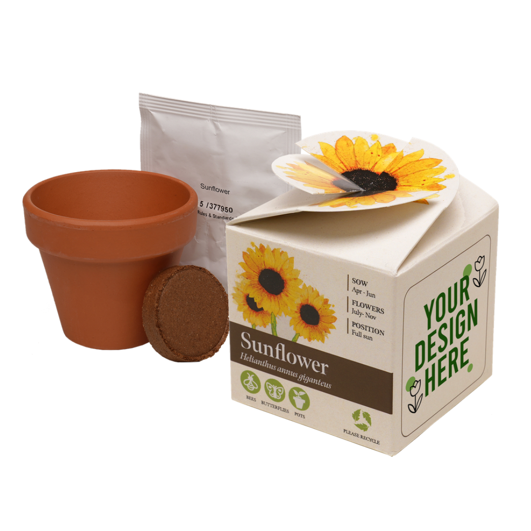 Free Sunflower Seeds