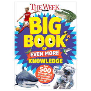 Free Childrens Knowledge & Puzzle Books