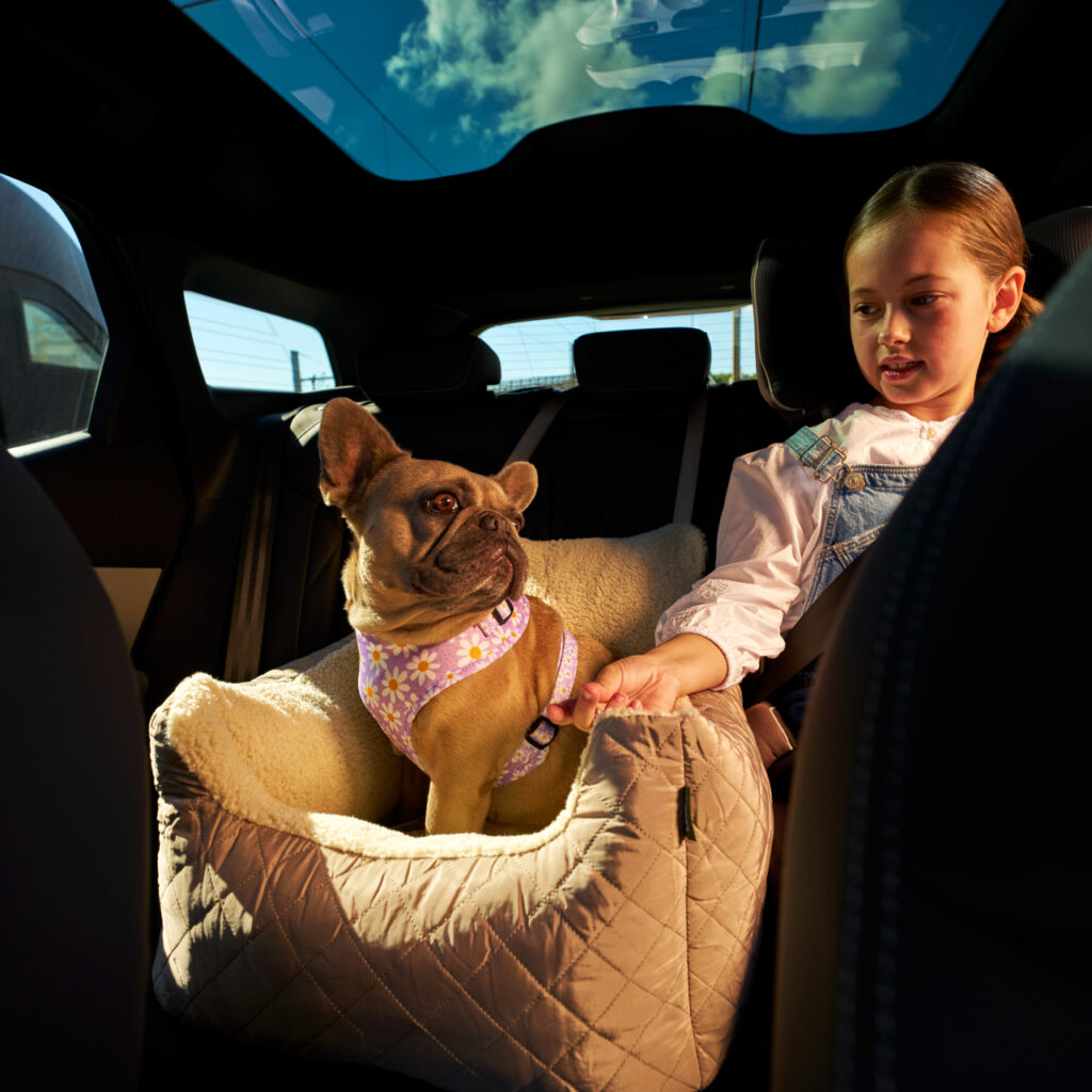 Win a European Getaway + £300 Dog Travel Bundle
