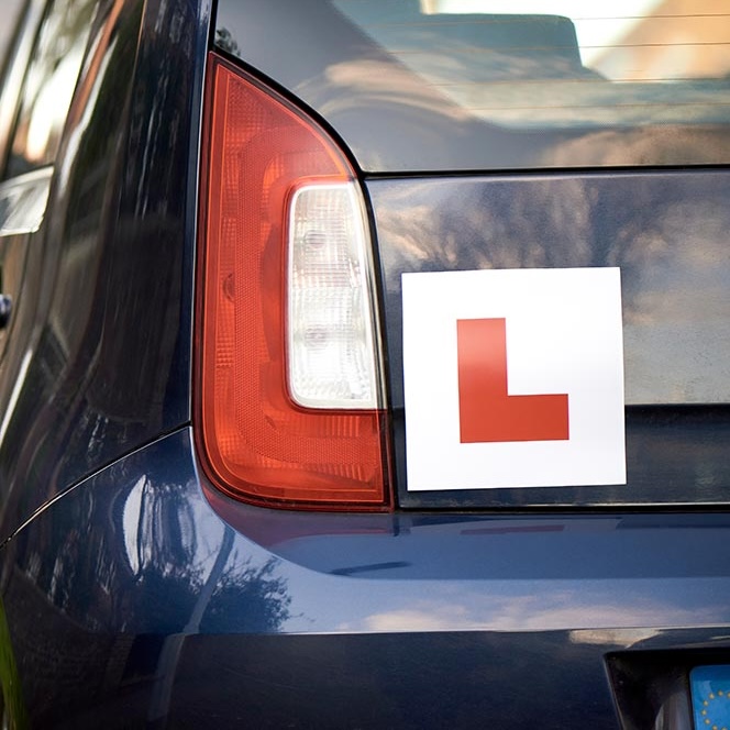 Free TomTom, Driving Courses & More