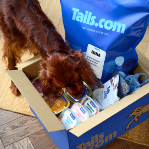 Free Kibble Dog Food + 50% Off Treats